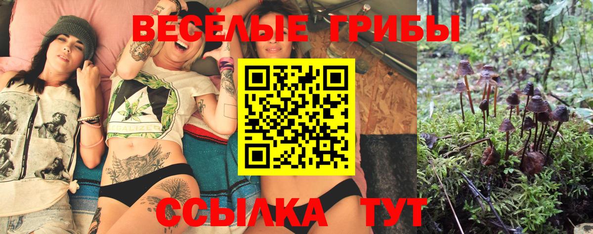 Псилоцибиновые грибы ЛСД  где купить   Вход с VPN  Брянск  Псилоцибиновые грибы ЛСД 